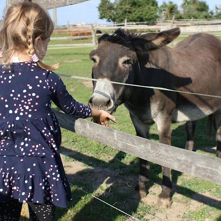 Zoopark Zelcin Villa Melnik Ngoại thất bức ảnh