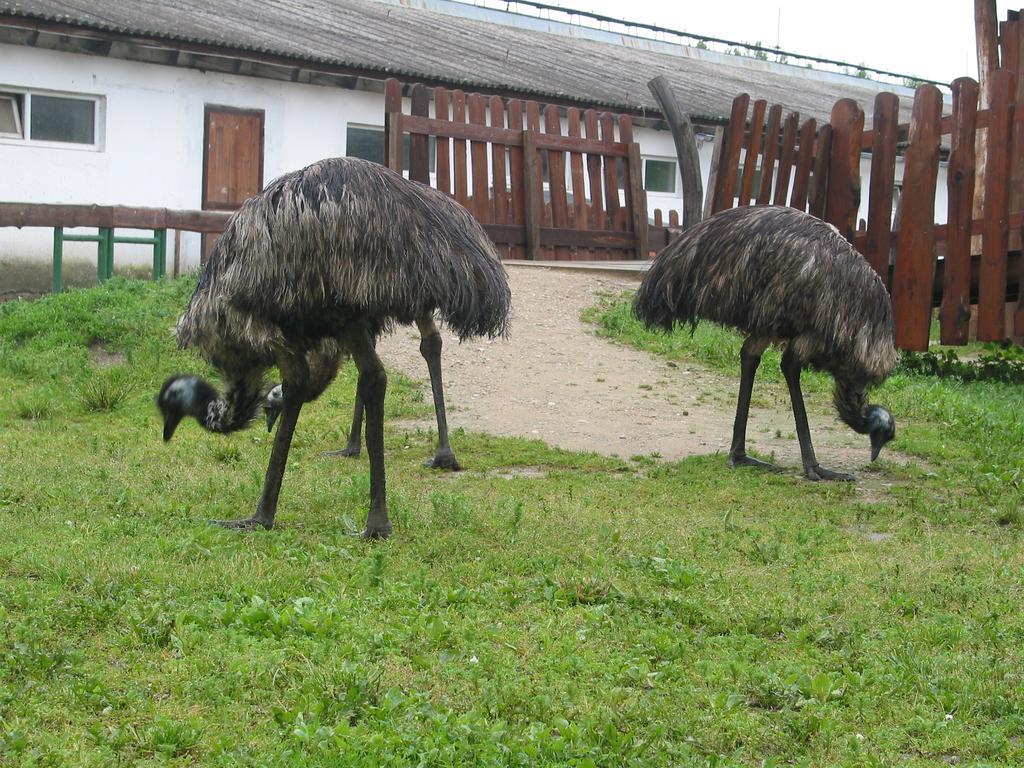 Zoopark Zelcin Villa Melnik Ngoại thất bức ảnh