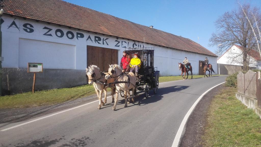 Zoopark Zelcin Villa Melnik Ngoại thất bức ảnh